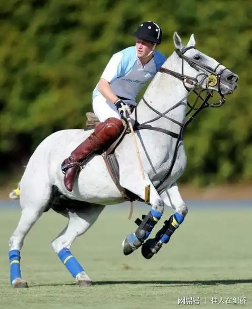 哈里王子马术精湛瞬间赛场获赞网友有学骑马的冲动