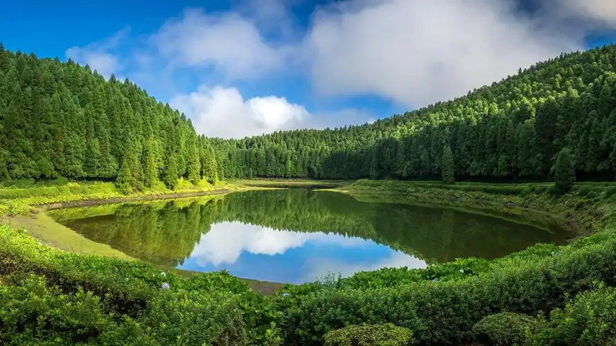 葡萄牙圣米格尔岛树木湖泊水中倒影4k
