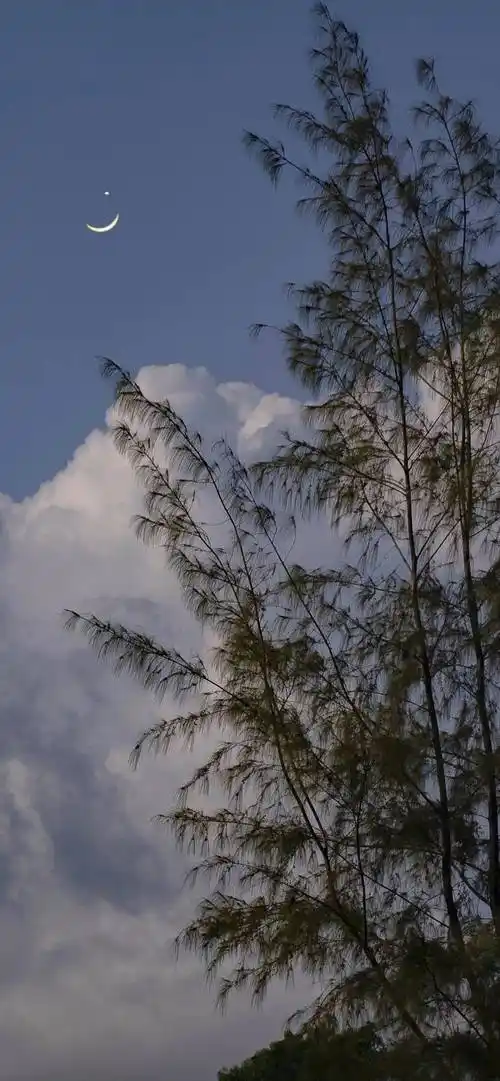 ins高级感简约壁纸