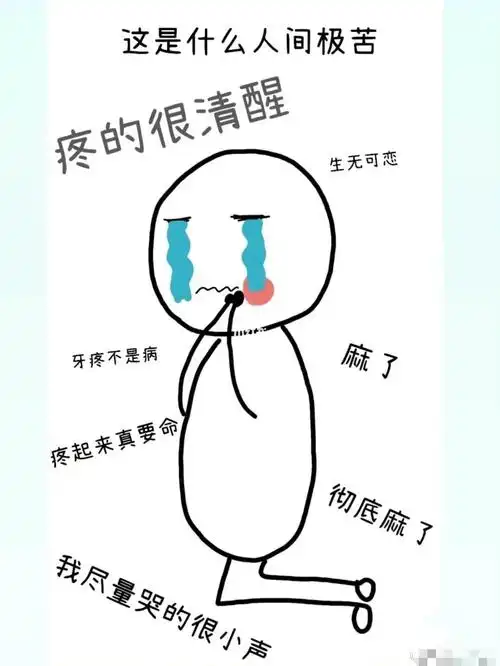 智齿到底是什么东西疼的睡不着