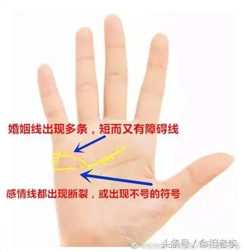 离婚的感情线(离婚的感情线手相)
