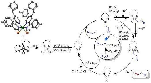 南京理工大学发现新型碳碳交叉偶联反应