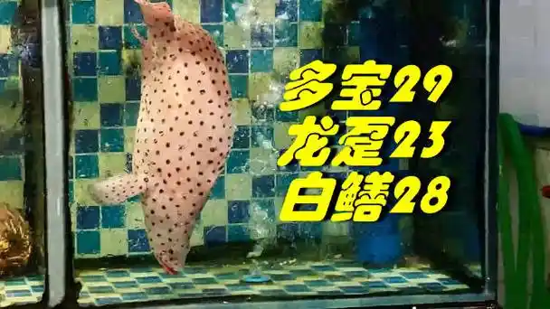 正月底,海鲜春运价结束,沙园海鱼可下手……|海鲜|好吃|鱼_新浪新闻