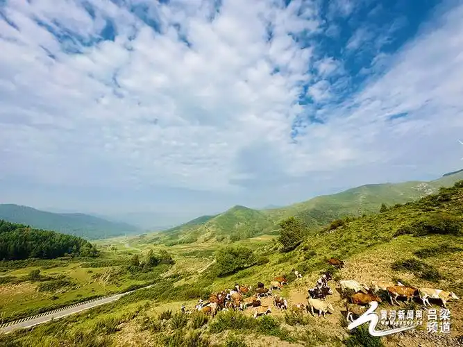 岚县高山草甸饮马池