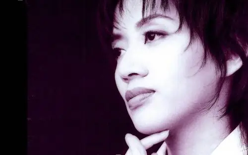 梅艳芳孤身走我路独个摸索我路途回味经典经典永流传