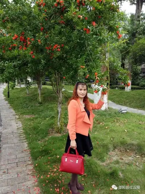 【同题专刊】2017年邵阳县作协主办第20期(总72期)《石榴红》同题作品