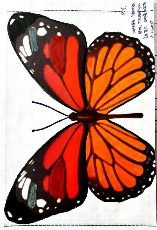 一八常态(1)班轴对称设计