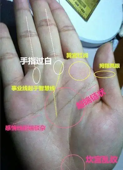 女人这种手相十人九富注定是富婆命格