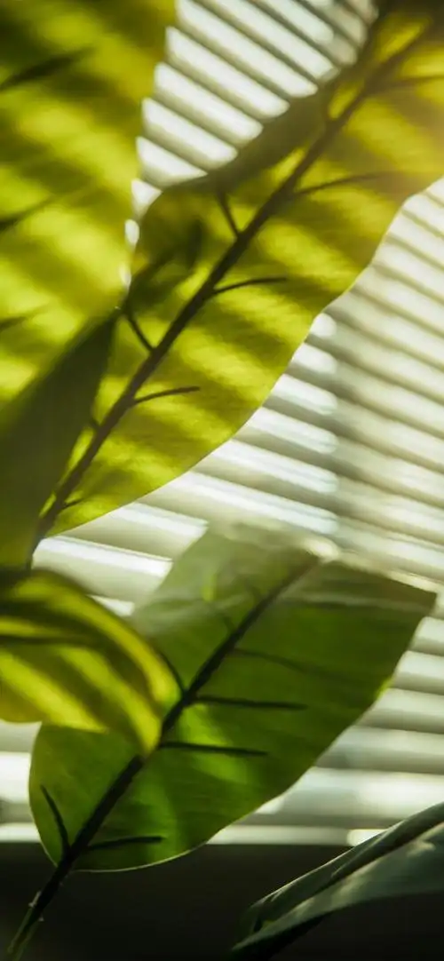 手机壁纸:高清绝美,每一张都很惊艳「50张」