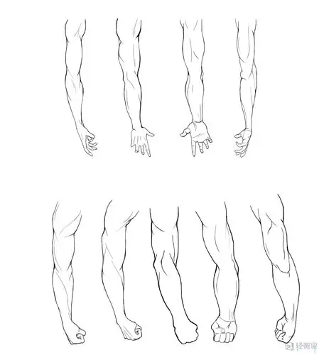 写生手臂—人体体块手臂肌肉的练习