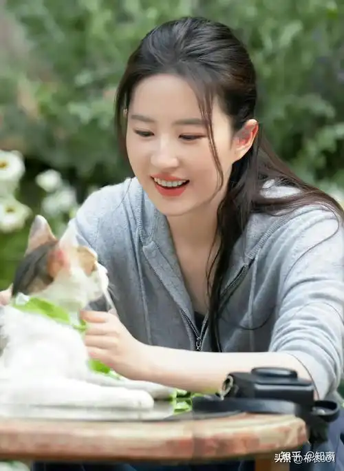 刘亦菲的去有风的地方又来了,今年又将影响大半个中国