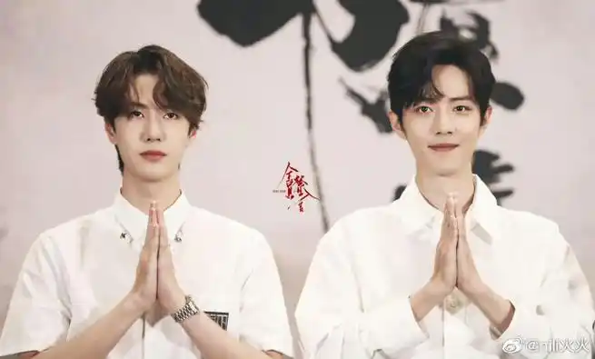 新华社发的肖战王一博