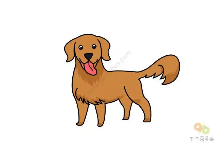 小狗简笔画金毛