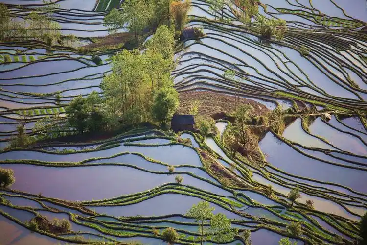 云南旅游必去的10个地方,不可错过!