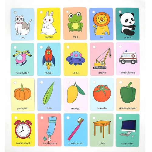 早教正版学习卡片蔬菜水果日常用品交通工具动物读物英语启蒙认知书