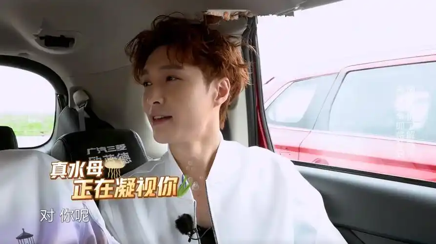 黄磊为什么不帮张艺兴 黄磊为什么收张艺兴为徒