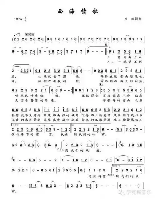 西海情歌刀郎经典歌曲唯美忧伤柔情中音萨克斯音乐