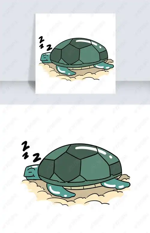 世界睡眠日睡觉的乌龟
