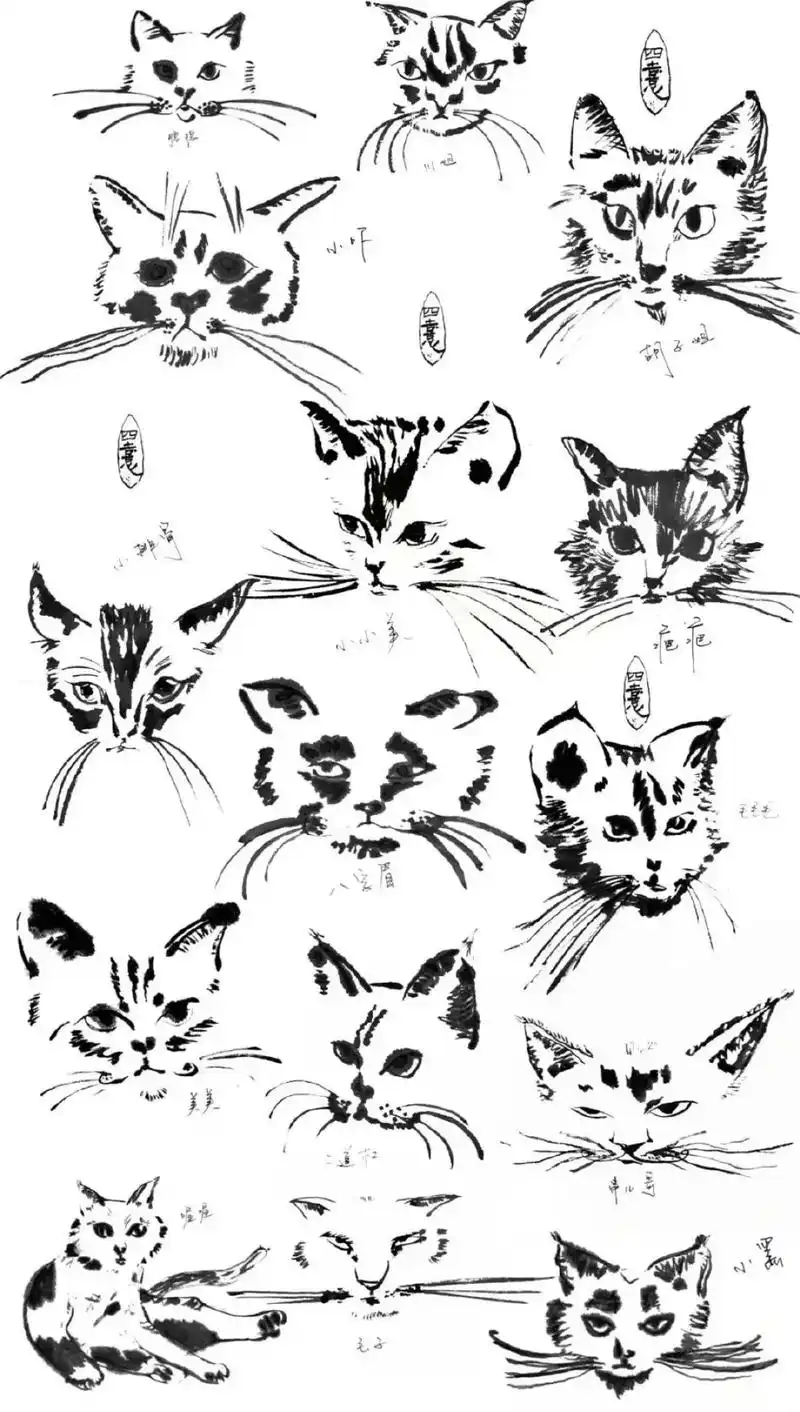 易烊千玺 #千纸鹤 #易烊千玺4度的河 #易烊千玺新歌 - 抖音