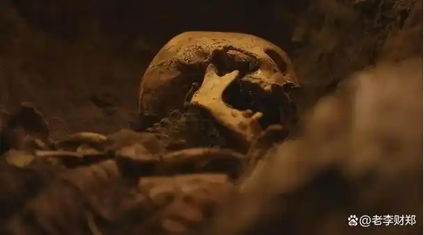 2020年,女大学生徒步可可西里失踪,被发现时全身遭野兽啃食|无人区