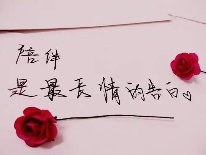 陪伴是最长情的告白图片(5)