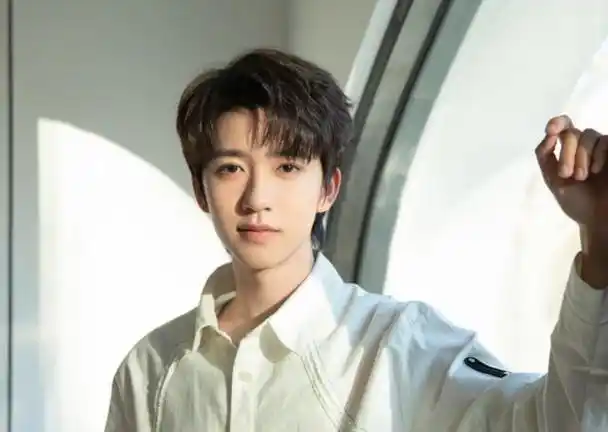 贺峻霖,2004年6月15日出生于四川省成都市,中国内地男歌手,演员,男子