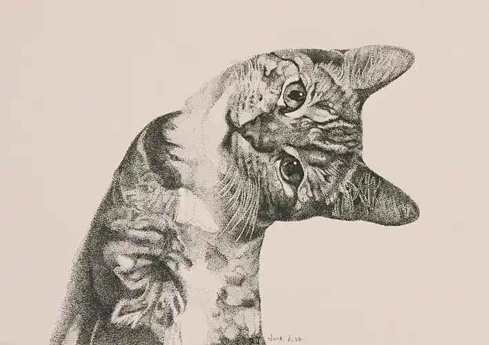 针管笔点绘宠物