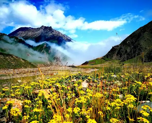 祁连山大草原-----中国的瑞士