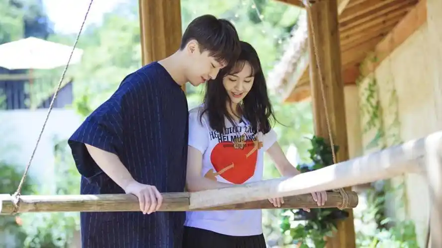 郑爽为什么不要自己的孩子与前夫张恒争夺孩子的抚养权真相到底是什么