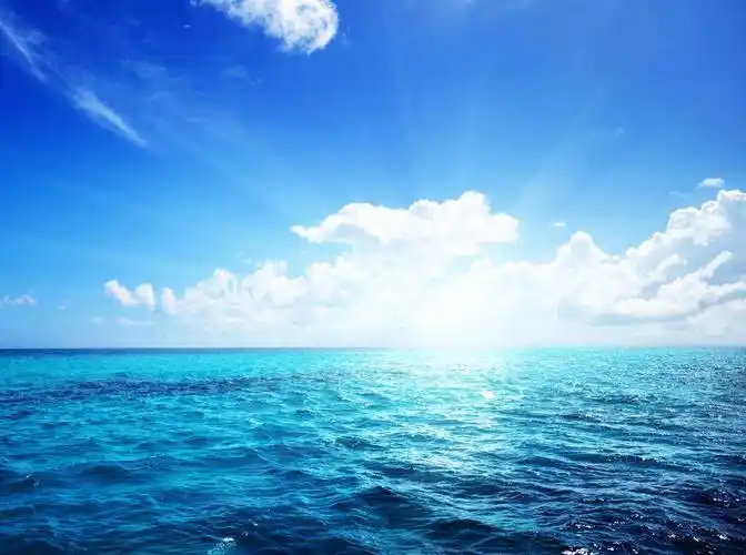 多彩沙滩盛装和海星