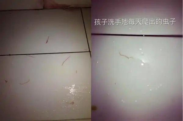 如果选择沉默事情一定会越变越坏海嘉万科幼儿园维权实录