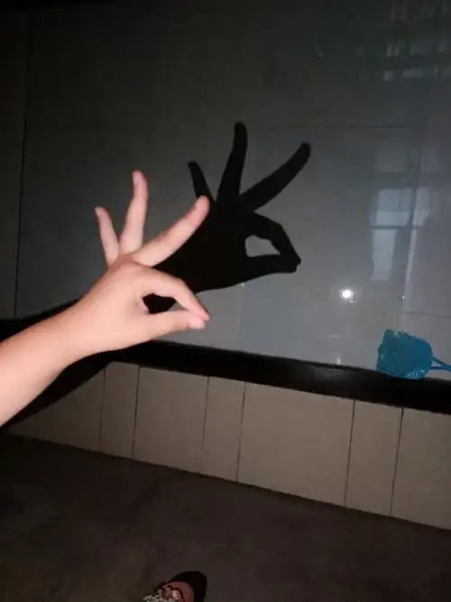 神奇的影子 武思淇