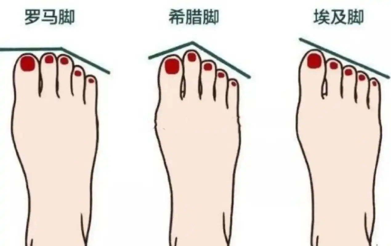 脚型看命运.一,埃及脚,整个脚从大脚趾到小脚趾依次变短,形状 - 抖音