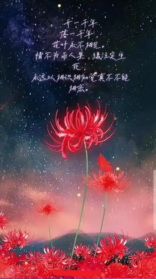 什么花的花语比较黑暗(什么花的花语比较黑暗呢)