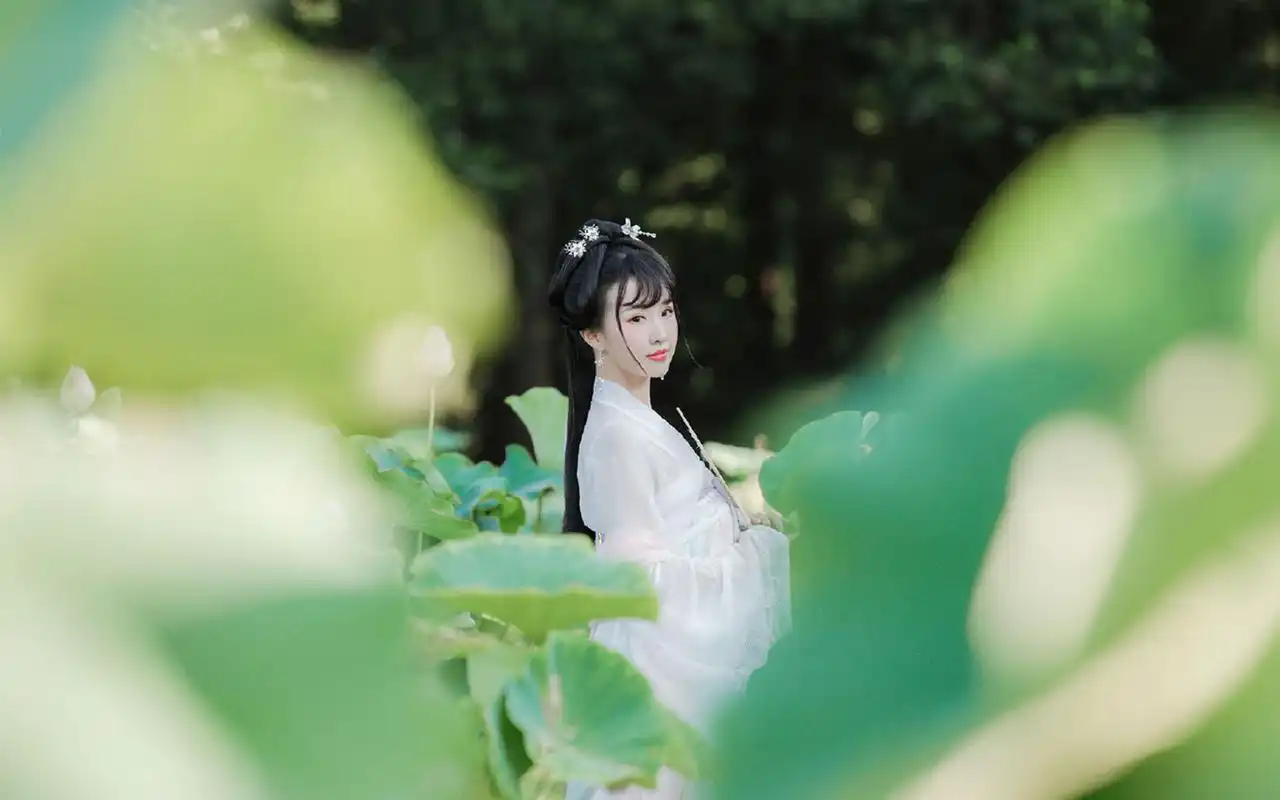 古装采莲美女高清桌面壁纸