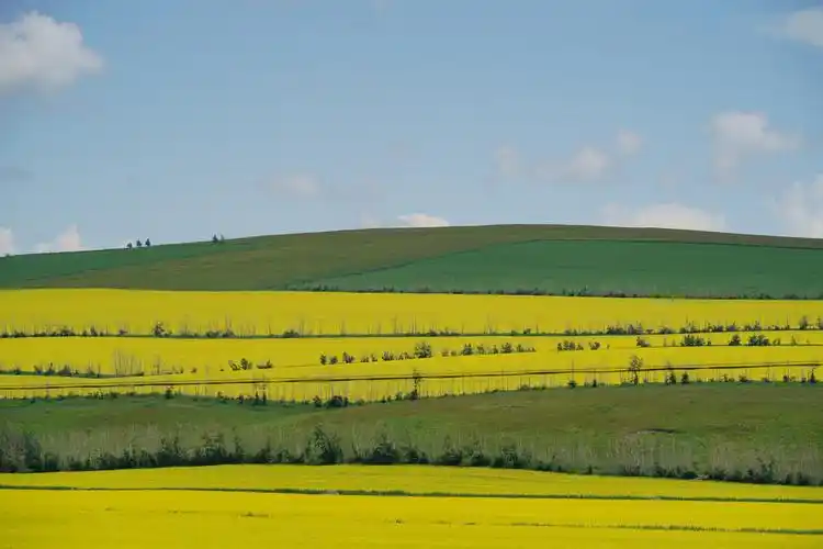内蒙古呼伦贝尔大草原