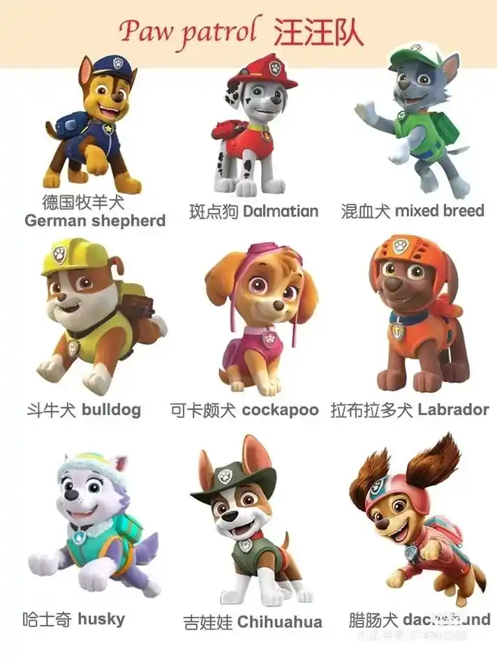 阿奇漫剪 #汪汪队立大功 你喜欢那只狗呢? - 抖音