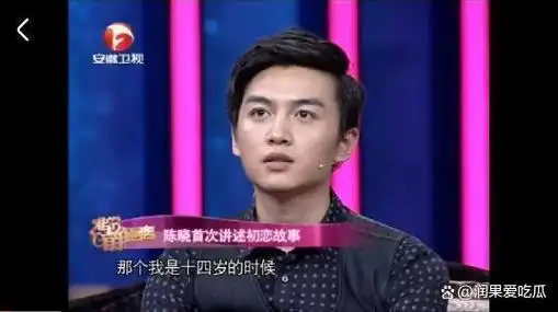 演活凤凰男的陈晓堪称内娱清流唯一bug是恋爱脑