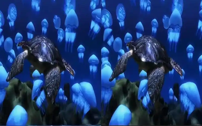 裸眼3d海之一角