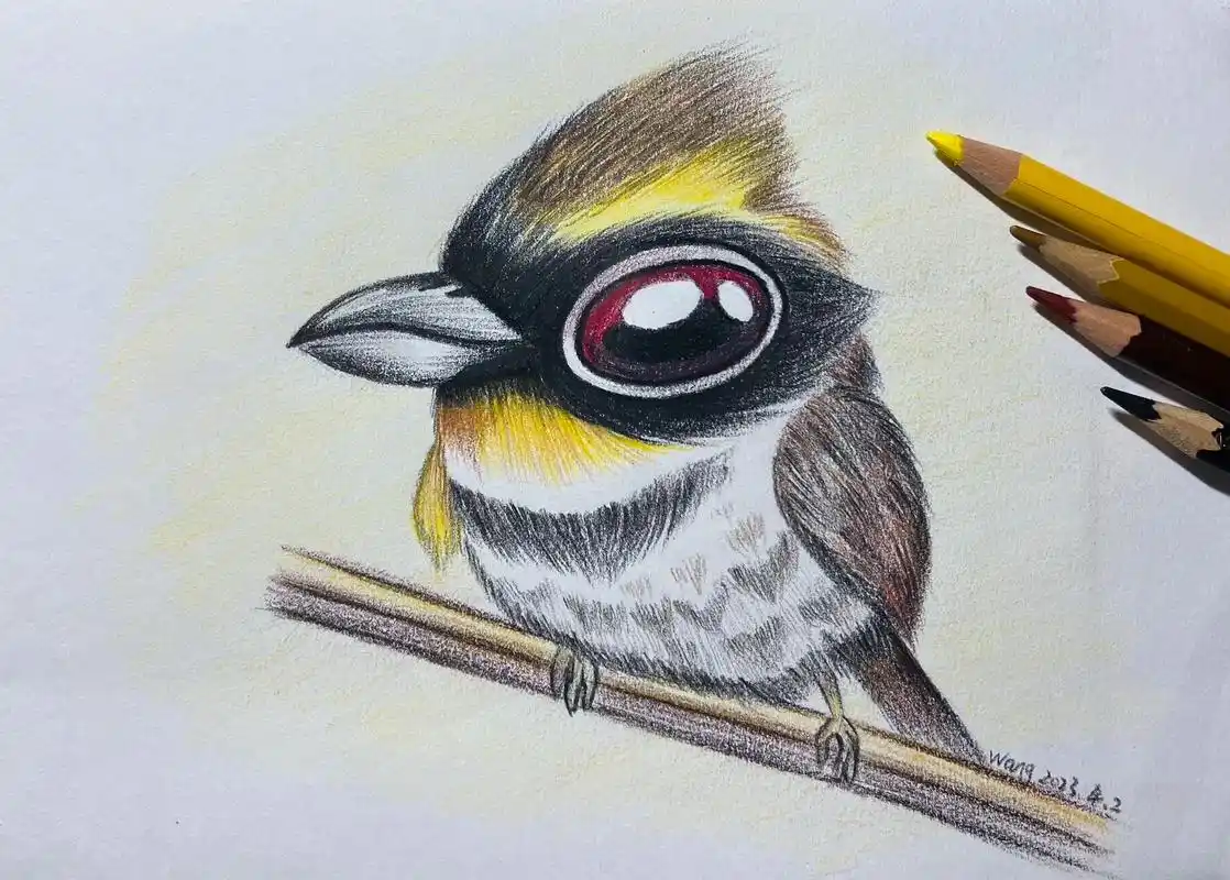 一起学画画 #彩铅 #手绘  - 抖音