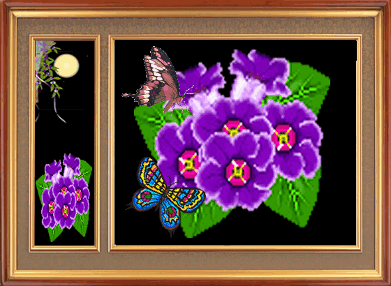 两只蝴蝶[贴图]