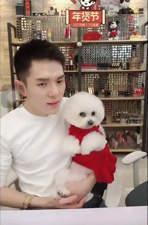 李佳琦家的狗主子,刚飘红就把妹妹咬了_never_狗狗_观众