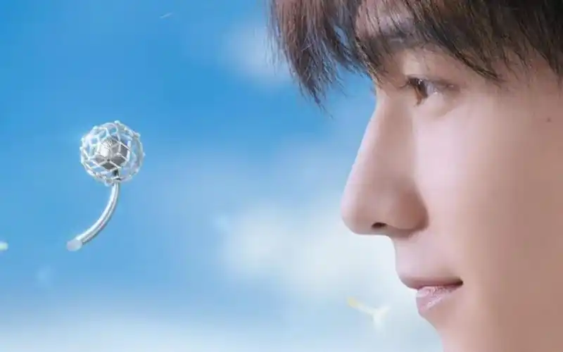 【杨洋】杨洋 铂金蒲公英的传说_哔哩哔哩_bilibili