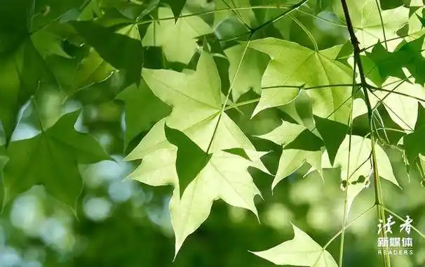 永远不要向任何人证明自己_吴京_谢楠_因为