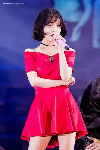 iu每次演唱会的小裙子多图