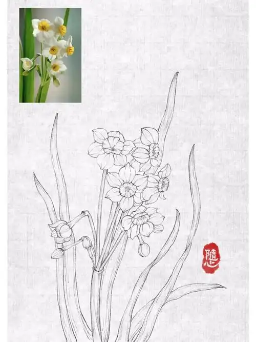 水仙花素洁高雅,清香动人,有凌波仙子的美称.