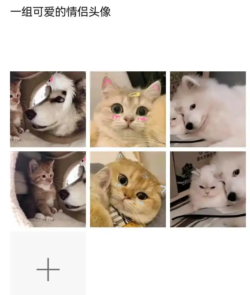 一组可爱的情侣头像#头像 #潮图壁纸 #情侣 #狗狗 #猫  - 抖音