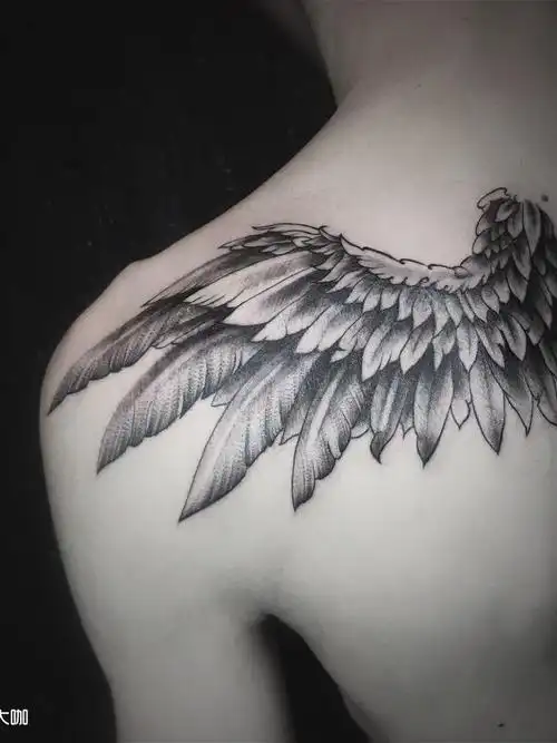 翅膀._纹身图案手稿图片_董一龙的纹身作品集