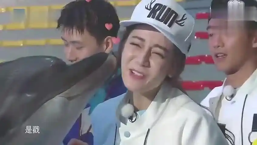 热巴被小海豚亲十几下,鹿晗感叹太意外,最后热巴表情萌炸了