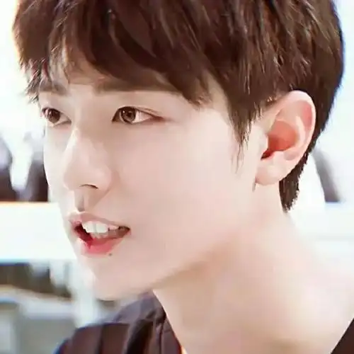 肖战最新微信头像